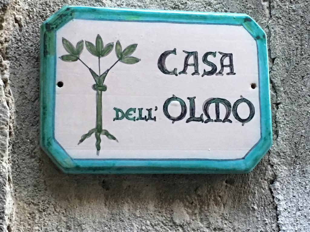 Casa Dell'Olmo Apartment Orvieto Exterior photo